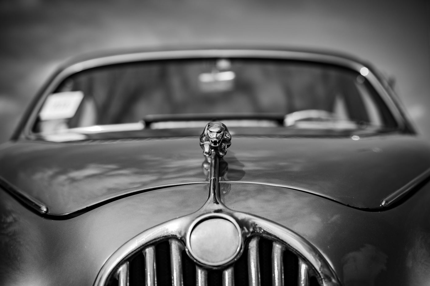 Jaguar XK120 lors de ses premières années de production, modèle qui a permis à Jaguar de devenir une référence mondiale des voitures de sport de prestige.