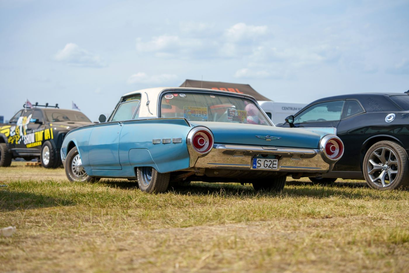 Vue arrière d'une Ford Thunderbird de collection mettant en valeur les feux caractéristiques et les lignes emblématiques du modèle.