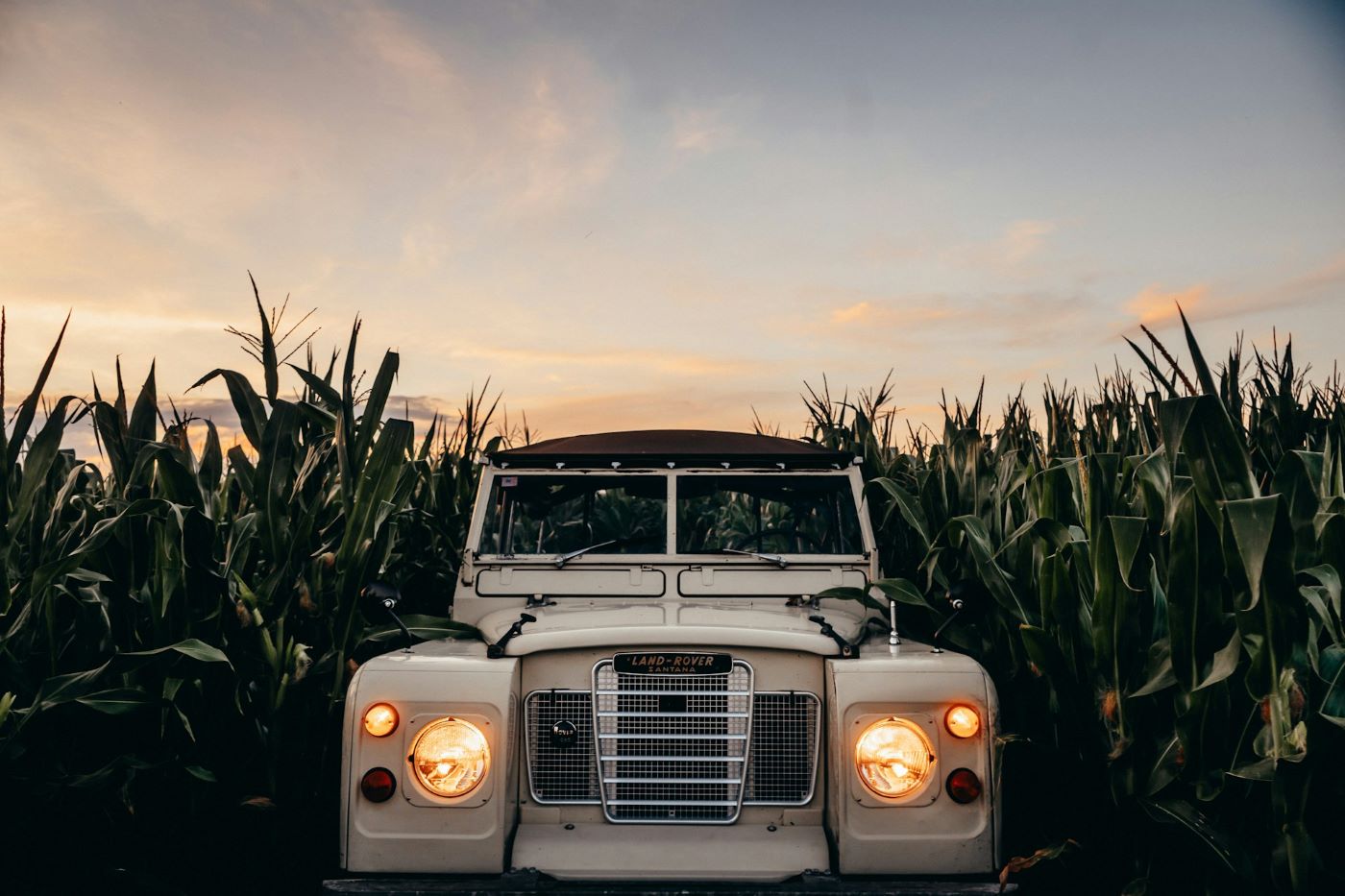 Land Rover Série de collection photographié dans un champ de maïs, illustrant sa vocation agricole et son héritage rural.