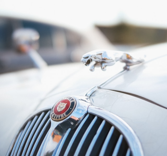 Calandre caractéristique de Jaguar XK120 avec sa grille ovale emblématique, symbole du design britannique sportif de l'après-guerre.