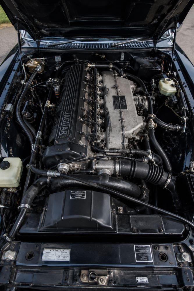 Gros plan du compartiment moteur d'une Jaguar XJS V12, mettant en évidence la mécanique emblématique de Jaguar, la disposition des douze cylindres et la complexité de son installation.